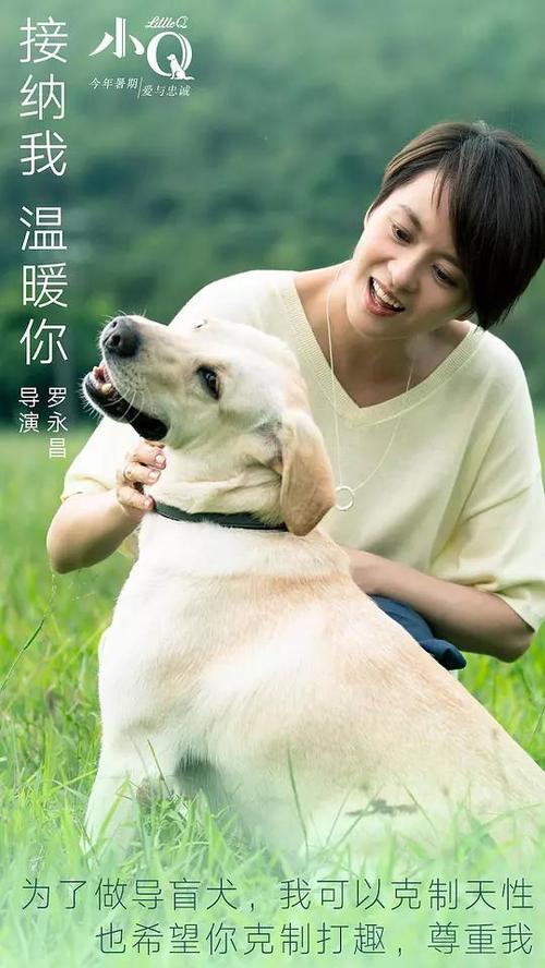 购买圭亚那身份证